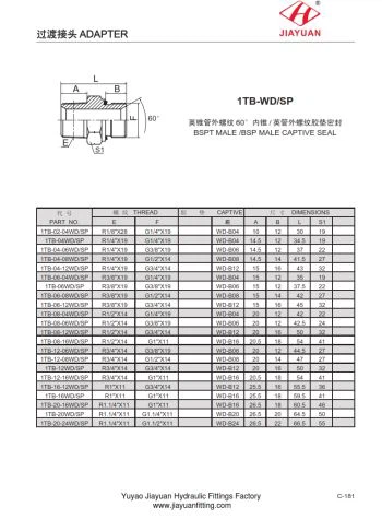 BSPT Чоловічі фурнітури BSPP E