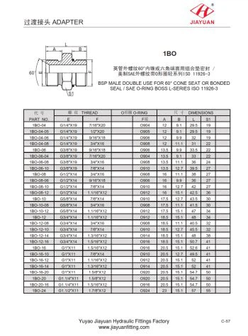 Чоловік BSP 60 SAE ORB